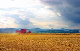 Trends to Watch with the American Food Supply Chain