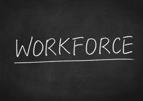Employment Numbers