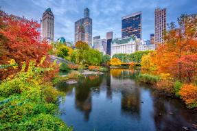 Central Park in New York during autumn