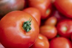 Food and Agriculture Food and Agriculture