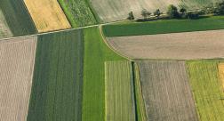 Food & Ag Food & Ag
