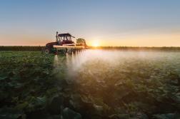 © Dusan Kostic | Dreamstime.com