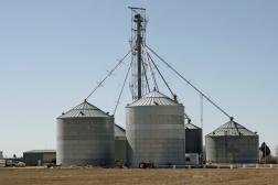 agriculture agriculture