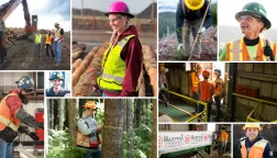 lumber
