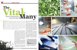 The Vital Many The Vital Many