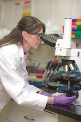 New York State Expands Economic Growth through Specialized Initiatives