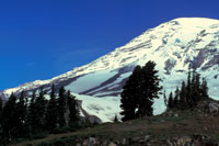 Mount Rainer National Park