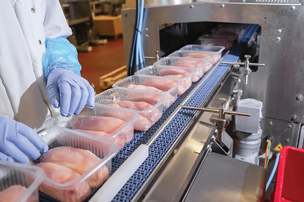 meat proceessing