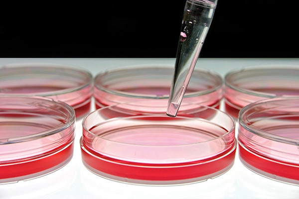 Biological lab testing